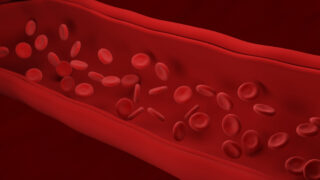 krwinki czerwone